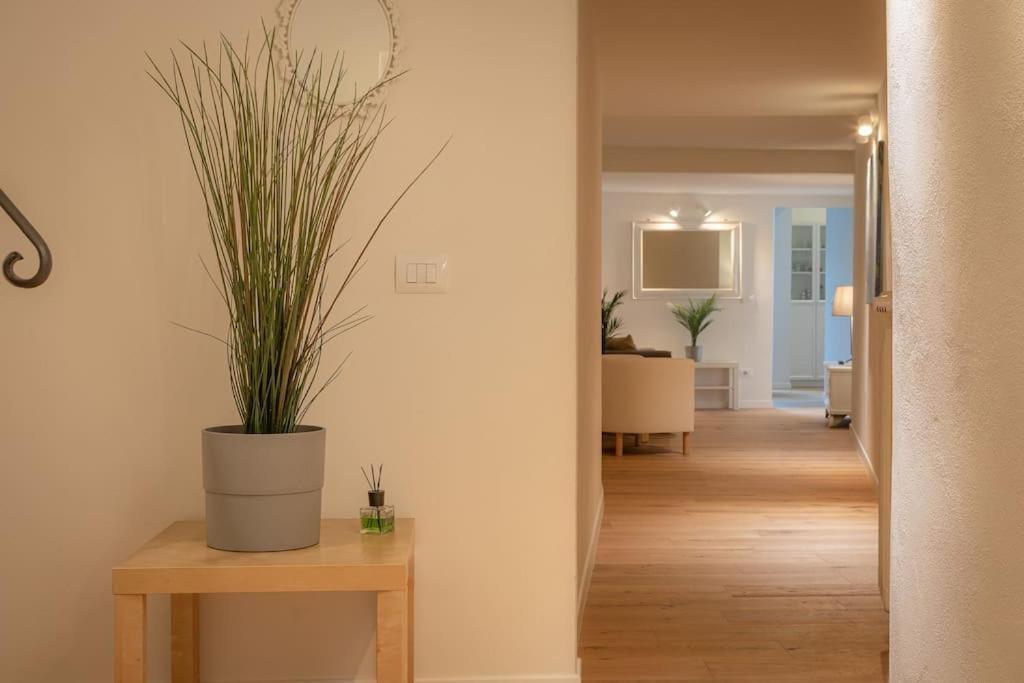 Borgo Pinti'S Duplex Apartment Florencja Zewnętrze zdjęcie